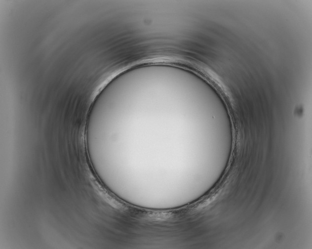 X0000090881417200707271006