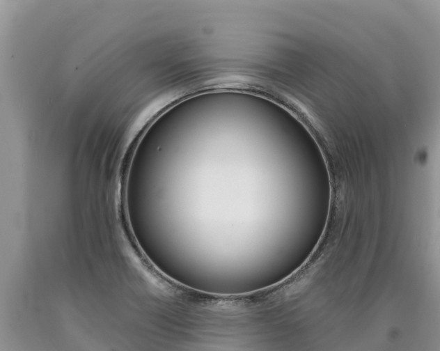 X0000090881418200707271006