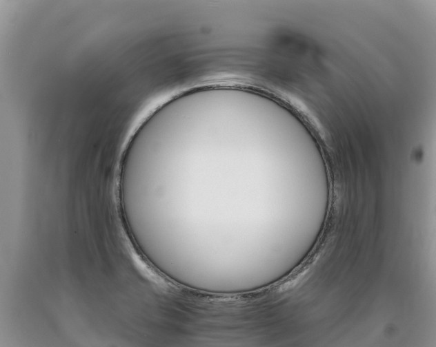 X0000090881421200707271006