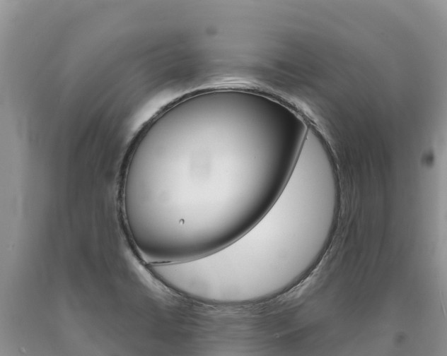 X0000090881422200707271006