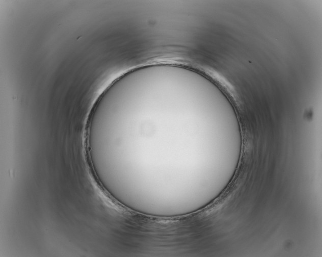 X0000090881423200707271006
