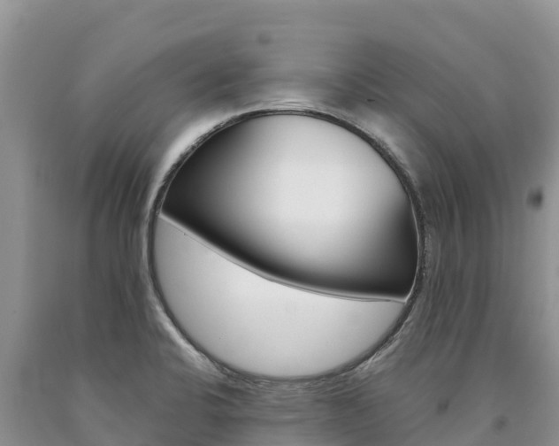 X0000090881424200707271006