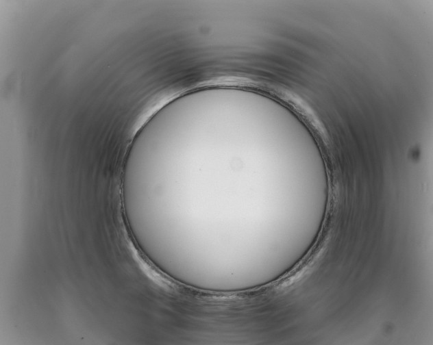 X0000090881425200707271006