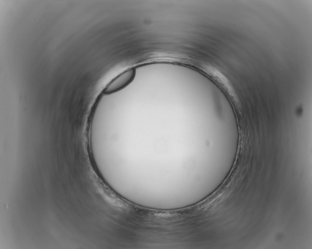 X0000090881427200707271006