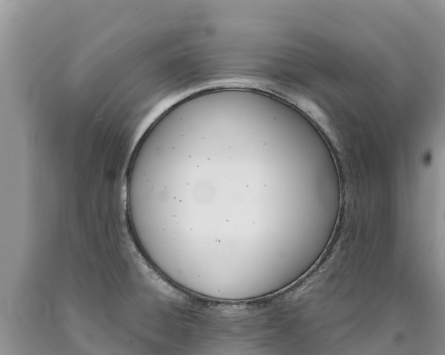 X0000090881428200707271006