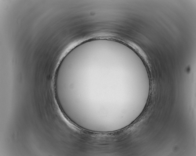 X0000090881429200707271006