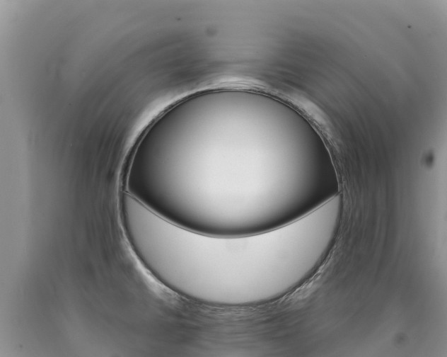 X0000090881430200707271006