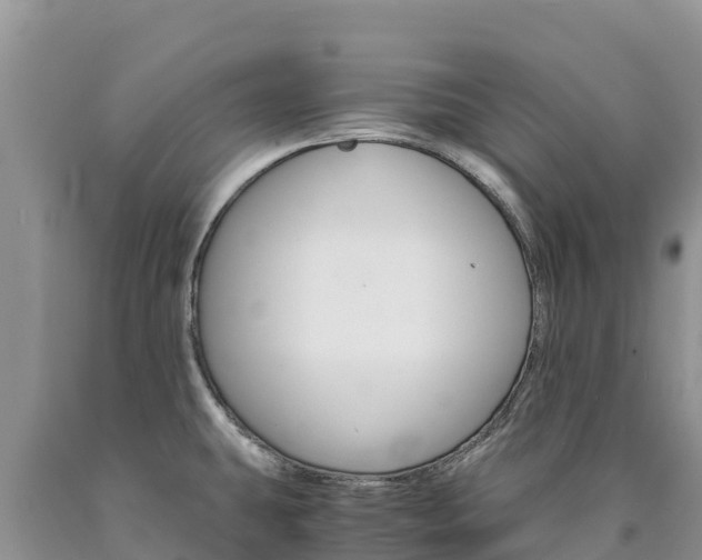 X0000090881431200707271006