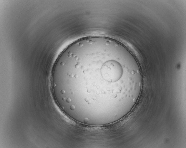 X0000090881432200707271006