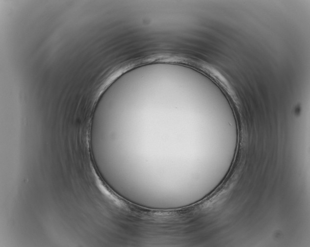 X0000090881433200707271006