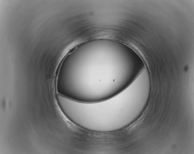 X0000090881434200707271006