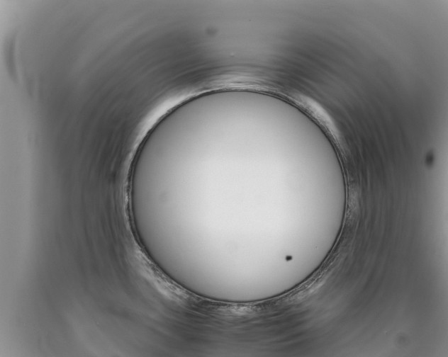 X0000090881435200707271006