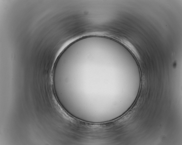 X0000090881436200707271006
