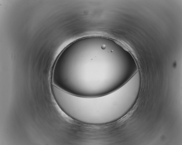 X0000090881438200707271006
