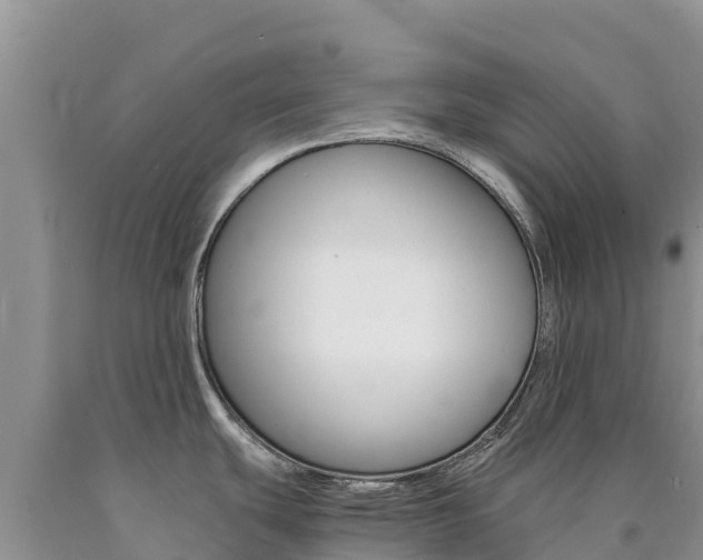 X0000090881439200707271006