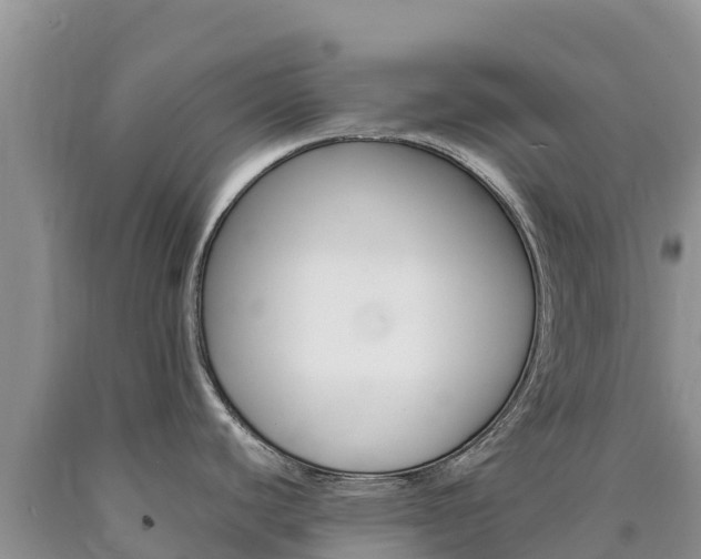 X0000090881440200707271007