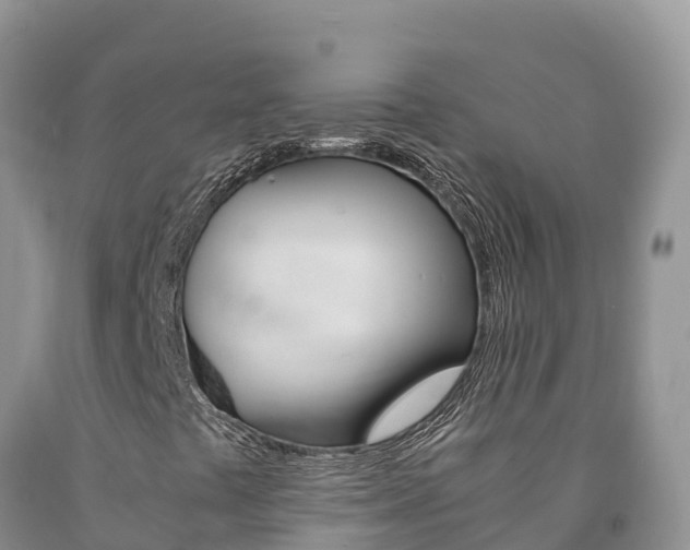 X0000090881441200707271006
