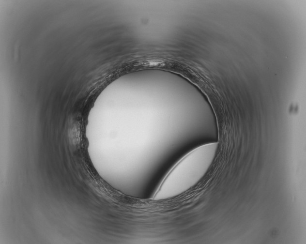 X0000090881442200707271006