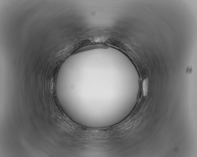 X0000090881443200707271006