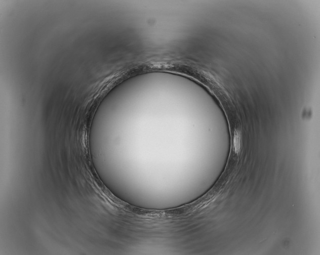 X0000090881444200707271006