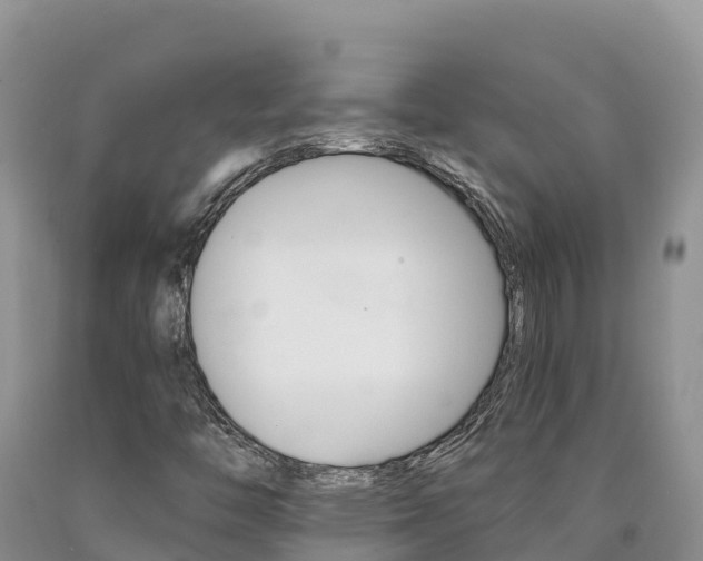X0000090881446200707271006