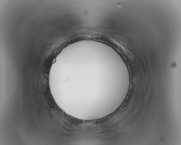X0000090881447200707271006