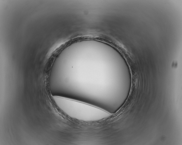 X0000090881448200707271006