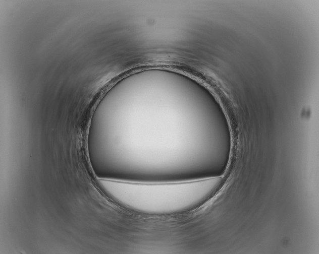 X0000090881449200707271006