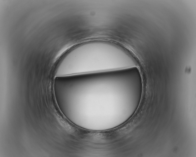 X0000090881450200707271006