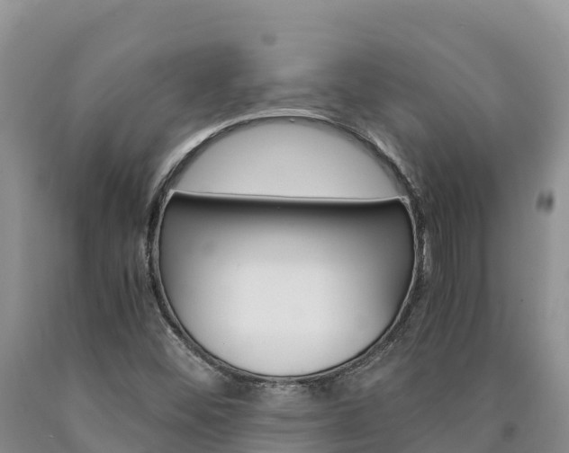 X0000090881452200707271006