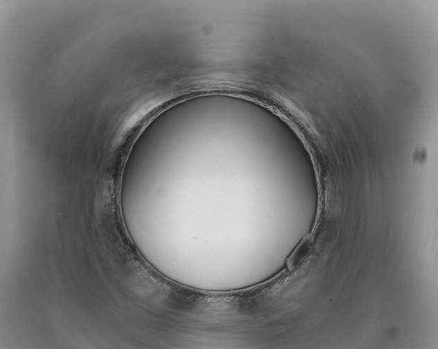 X0000090881453200707271006