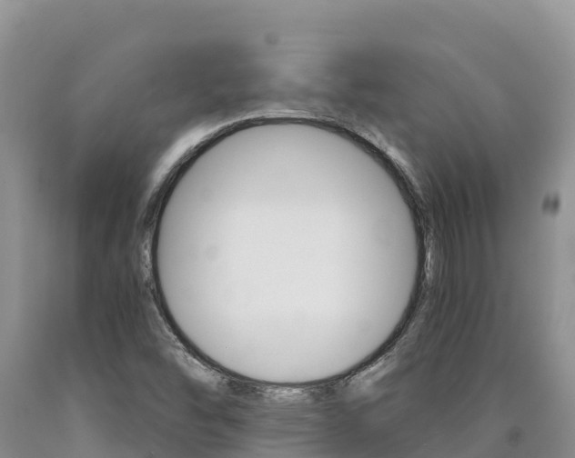 X0000090881454200707271006