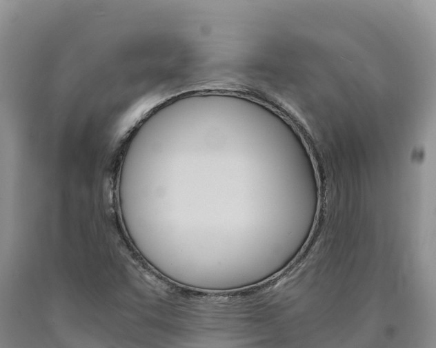 X0000090881455200707271006