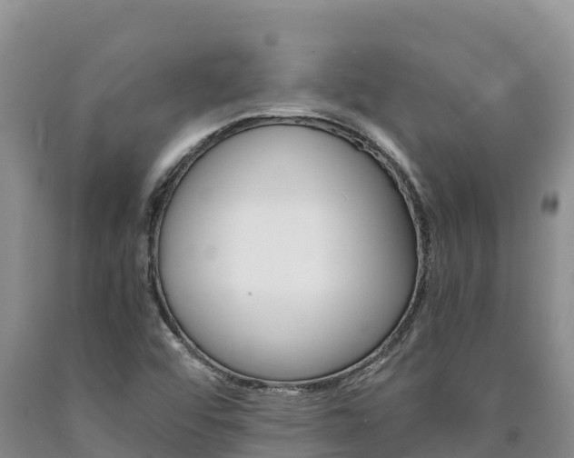 X0000090881456200707271006