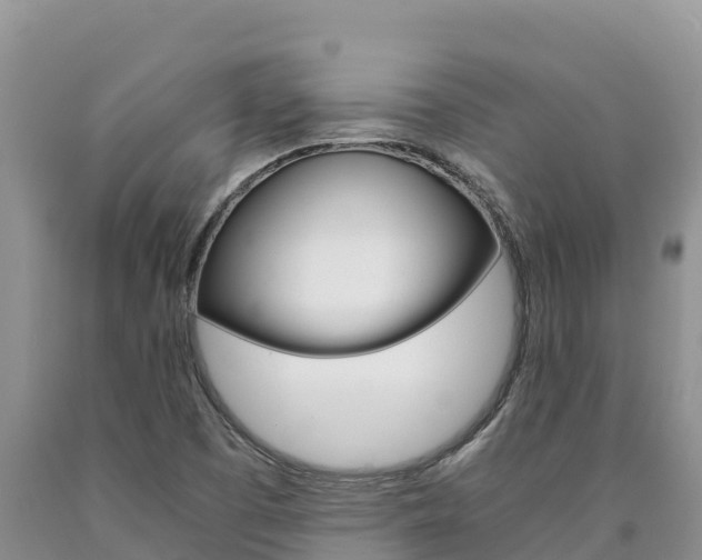 X0000090881457200707271006