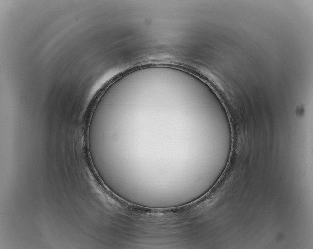 X0000090881458200707271006