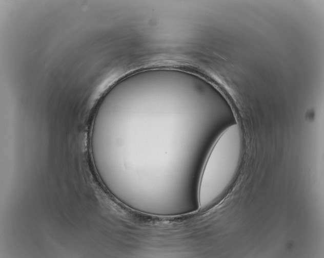 X0000090881459200707271006