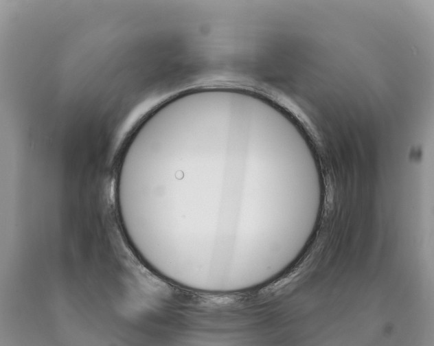 X0000090881462200707271006
