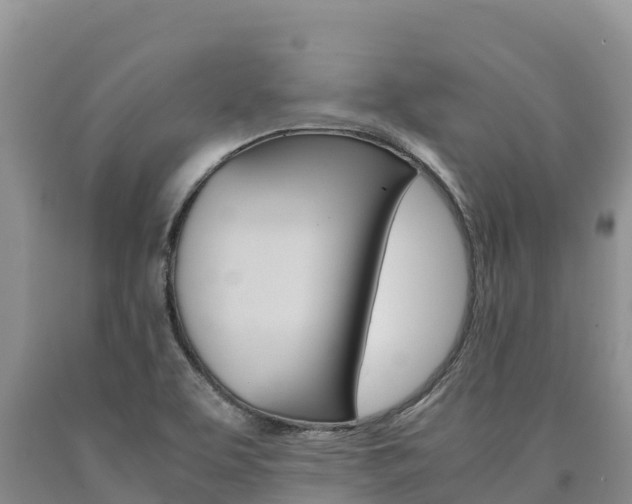 X0000090881463200707271006