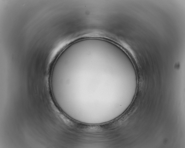 X0000090881464200707271006