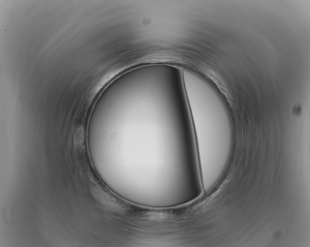 X0000090881465200707271006