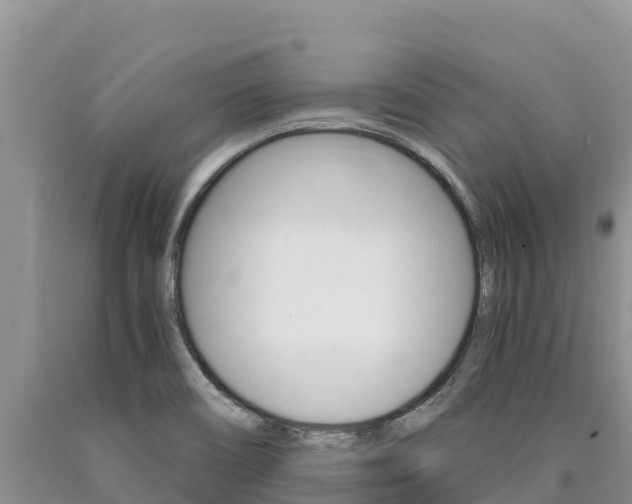 X0000090881466200707271006