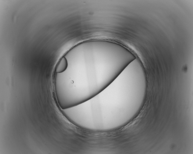 X0000090881467200707271006
