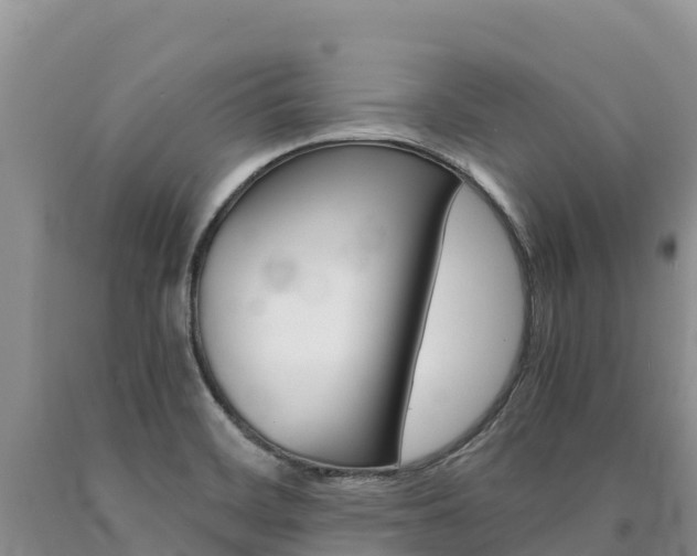 X0000090881468200707271006