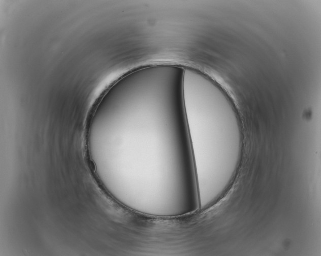 X0000090881469200707271006