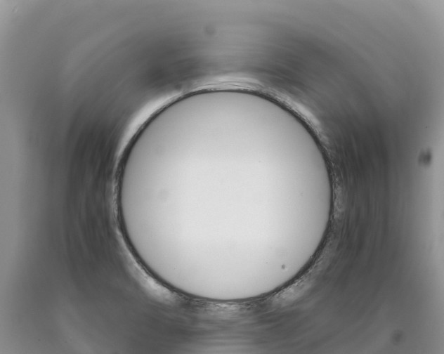 X0000090881470200707271006