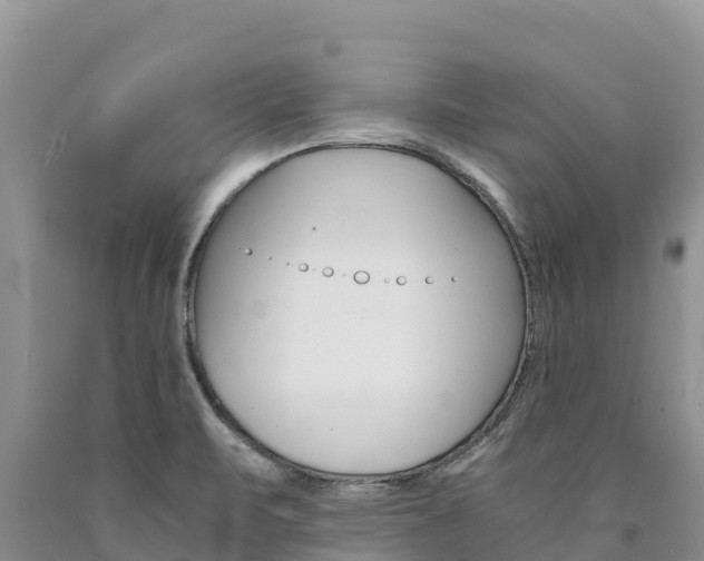 X0000090881471200707271006