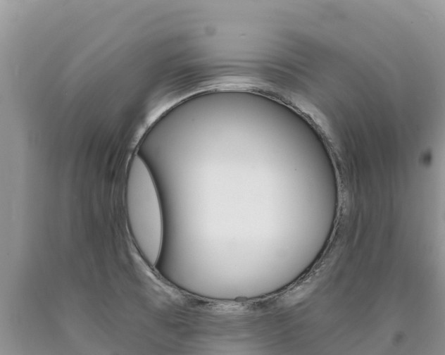 X0000090881473200707271006