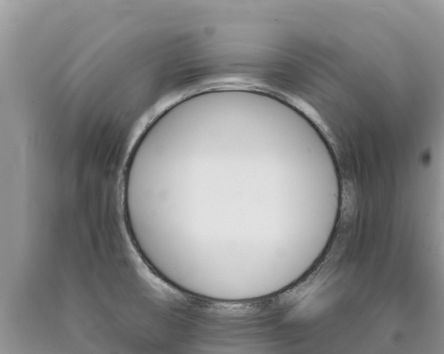 X0000090881474200707271006