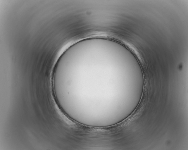 X0000090881475200707271005